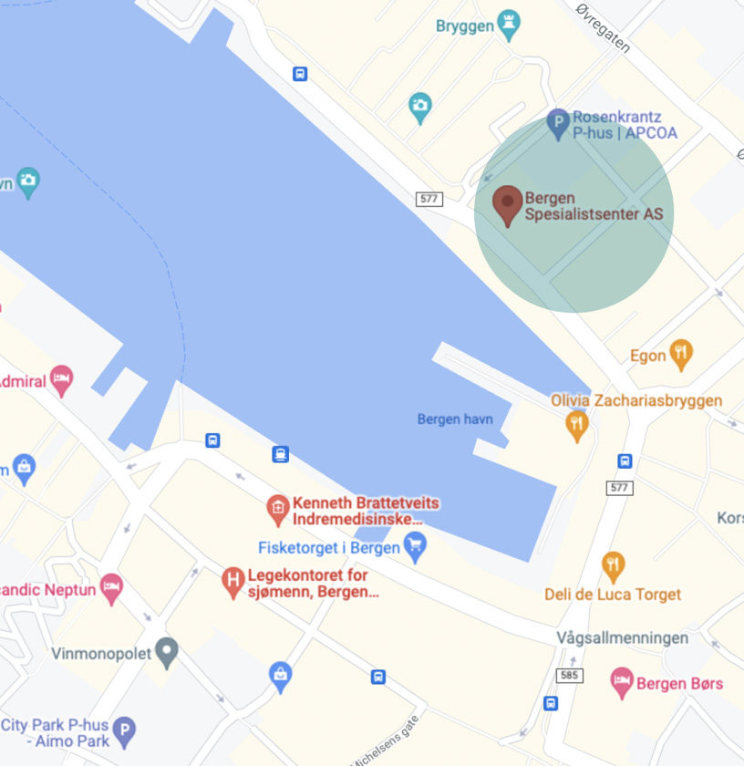 Skjermbilde av Bergen spesialistsenter på Google Maps